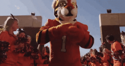 Tiger Mascot In Number 1 Jersey Surrounded By Cheerleaders GIF