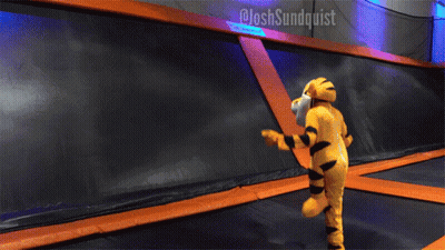 Tiger Mascot Jumping On Trampoline @Joshsundquist GIF