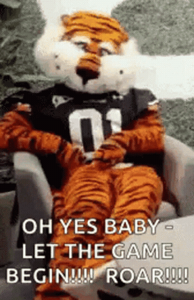Tiger Mascot Let The Game Begin Roar GIF
