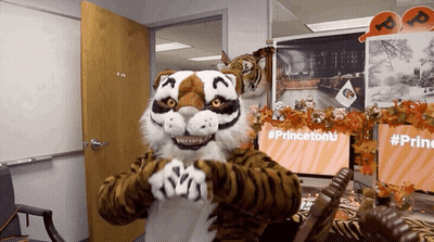 Tiger Mascot With Princeton Sign GIF
