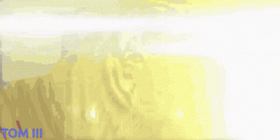Tiger Painting Saying Tom III GIF