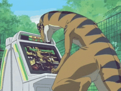 Tiger Playing Video Game With Word Tiger GIF