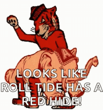Tiger Riding Elephant Looks Like Roll Tide Has A Red Hide GIF