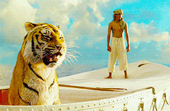 Tiger Roar Life Of Pi Movie