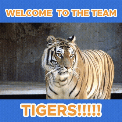 Tiger Saying Welcome To The Team Tigers GIF