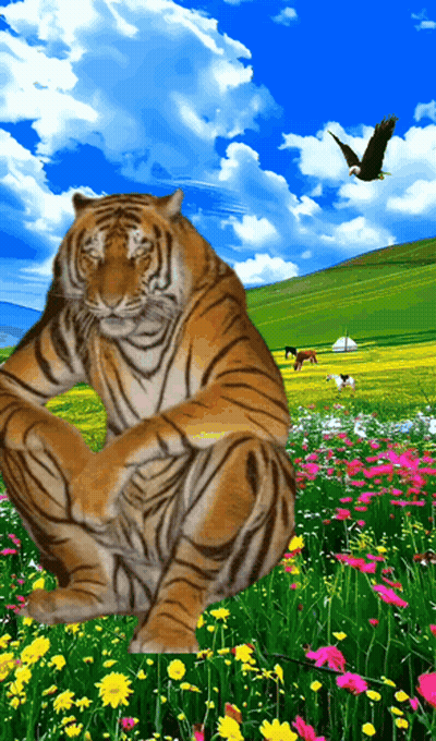 Tiger Sitting In Flower Field With Bird GIF