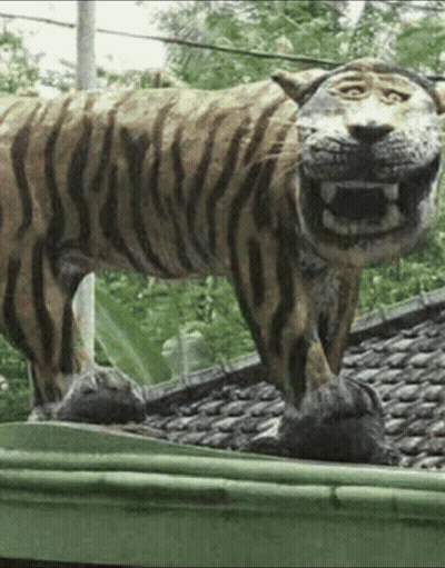 Tiger Statue On Green Gutter GIF