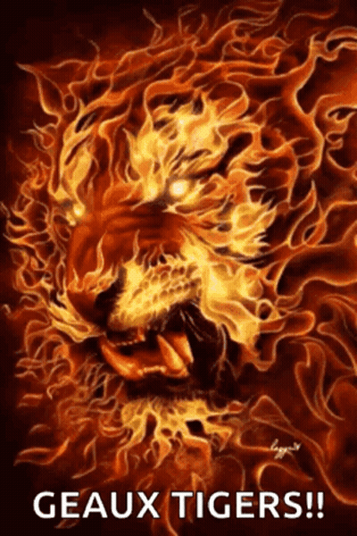 Tiger Surrounded By Flames Geaux Tigers GIF
