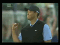 Tiger Woods Celebrating In Golf Course