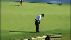Tiger Woods Celebratory Image Compilation GIF