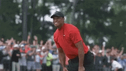 Tiger Woods Ecstatic Celebration GIF