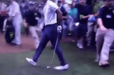 Tiger Woods Funny Golf Mishap GIF