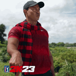 Tiger Woods Funny Golfing Meme GIF