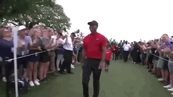 Tiger Woods Hand Tapping Fans GIF