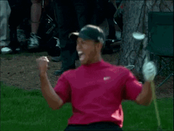 Tiger Woods Scream In Excitement GIF