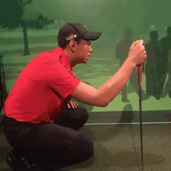 Tiger Woods Spotting The Sexy Lady Meme GIF