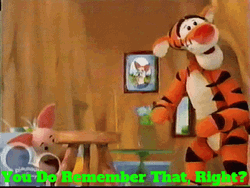 Tiger You Do Remember That Right GIF