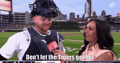 Tigers Detroit Tigers GIF
