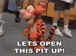 Tigger Dancing With Crowd In Mosh Pit GIF