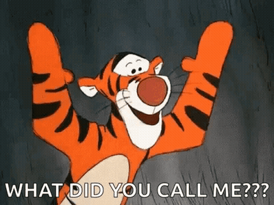 Tigger From Winnie The Pooh Is Raising His Arms In The Air And Asking What Did You Call Me . GIF