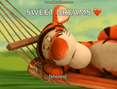 Tigger Laying In Hammock Sweet Dreams Snores GIF