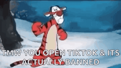 Tigger Sad GIF