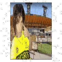 Tigres Shirt Woman Sticker