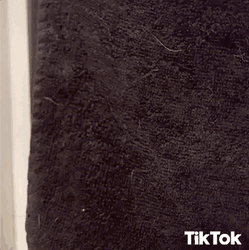 Tiktok Peek-A-Boo Puppy GIF