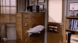 Tim Daly Nepotism GIF