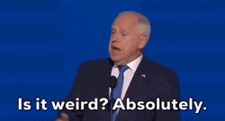 Tim Walz Absolutely Weird GIF