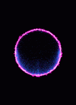 Time Is A Flat Neon Circle Light Loop GIF