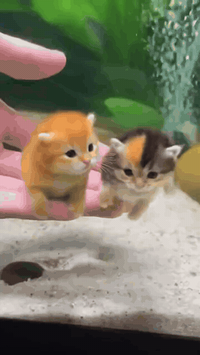 Time Limit Message On Cell Phone GIF