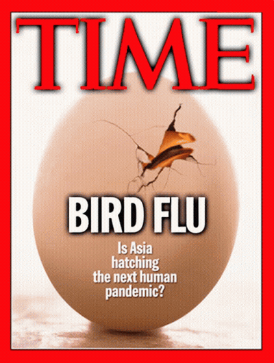Time Magazine Cover Bird Flu Egg GIF