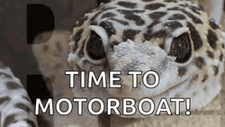 Time To Motorboat GIF