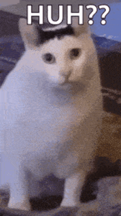 Time What Time GIF