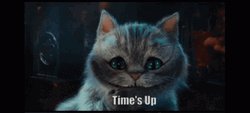 Times Up Cheshire Cat GIF