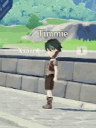 Timmie Vs Xiao GIF