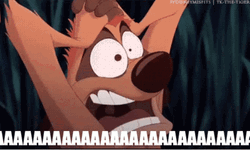Timon And Pumbaa Scream In Fear GIF