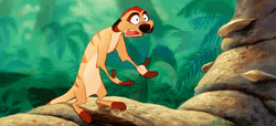 Timon Jaw Drop Lion King GIF