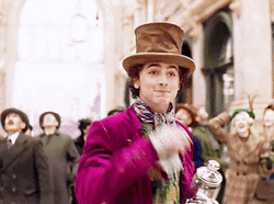 Timothée Chalamet As Wonka GIF