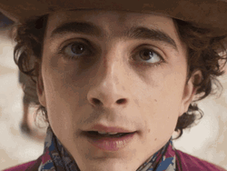 Timothée Chalamet Dog Transition GIF