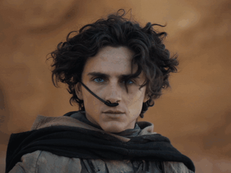 Timothée Chalamet Dune Part Two GIF