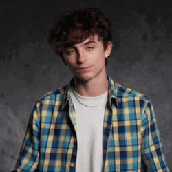 Timothée Chalamet Finger Hearts GIF