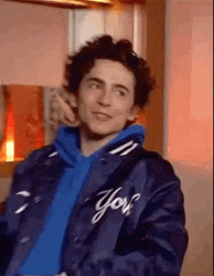 Timothée Chalamet Hoodie GIF