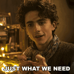 Timothée Chalamet Just What We Need GIF