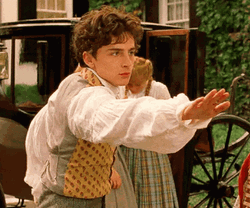Timothée Chalamet Teddy Laurie GIF
