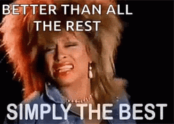 Tina Turner Simply The Best Song Lyrics GIF