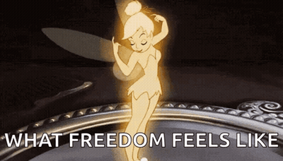 Tinkerbell Dancing What Freedom Feels Like GIF