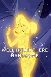 Tinkerbell Well Hey Hello There Handsome GIF