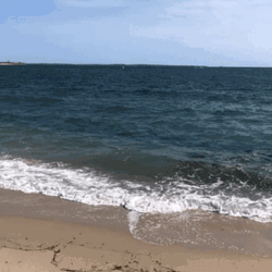 Tiny Blue Wave On The Shore GIF